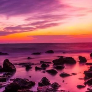 Meet your Posher, Inara